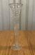 Antique 16 Trumpet Vase American Brilliant Cut Glass Crystal Abp Floral