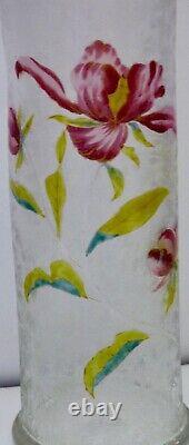 ° Wow Rare ANTIQUE BACCARAT ACID ETCHED Cut Flower GLASS Vase Art Nouveau IRIS